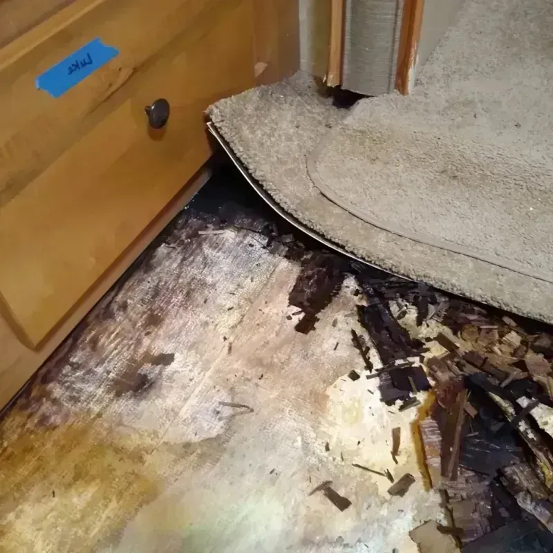 Wood Floor Water Damage in Lauderhill, FL